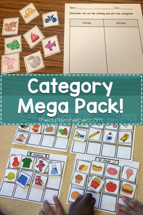 Category Sorting Free Printable, Category Activities Speech Therapy, Categorization Activities Speech Therapy, Categories Speech Therapy, Aba Therapy Activities, Speech Language Activities, Slp Activities, Behaviour Management, Speech Therapy Materials