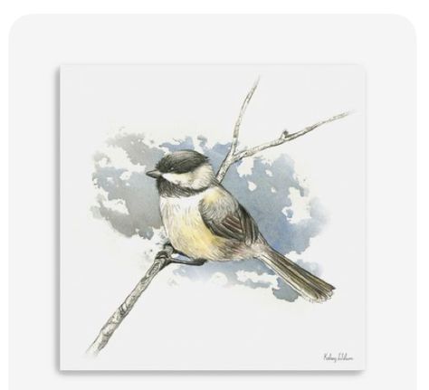 Mirror Sign, Bird On Branch, Art Workshop, Winter Cards, Watercolor Bird, Décor Diy, Mod Podge, Watercolor Animals, Birds Painting