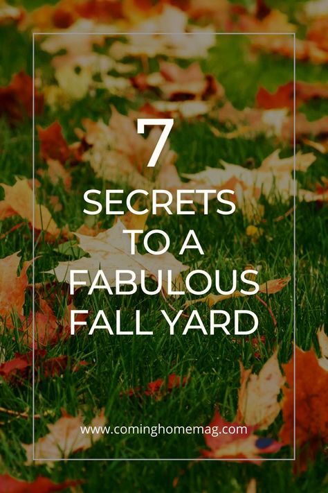 fall leaves on the grass in a yard Fall Yard Ideas, Fall Landscape Ideas, Fall Lawn, Fall Landscaping, Fall Yard, Landscaping Tips, Fabulous Fall, Autumn Landscape, Yard Ideas