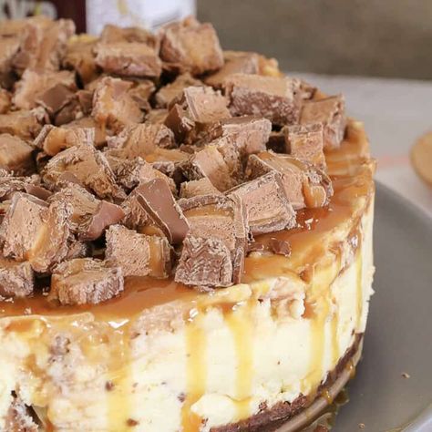 Mars Bar Cheesecake, Best Cheesecake Recipes, Cheesecake Blueberry, Best No Bake Cheesecake, Mars Bars, Mini Cheesecake Bites, Baileys Cheesecake, Chocolate Baileys, Quinoa Bowls