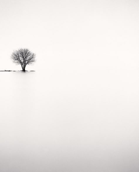 Michael Kenna - Biwa Lake Tree, Study 2, Omi, Honshu, Japan, 2002 Negative Space Photography, Masao Yamamoto, Photography Office, Minimal Photography, White Landscape, Space Photography, Hieronymus Bosch, Lone Tree, Black And White Landscape