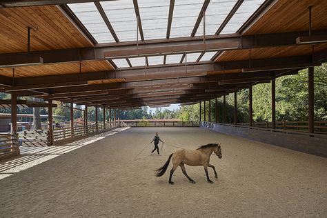 Indoor riding arena with open walls Luxury Horse Barns, Indoor Riding Arena, Modern Equestrian, Equestrian Barns, Equestrian Stables, Stable Style, Riding Arena, Horse Barn Designs, Classic Equine