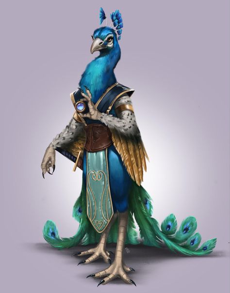 it is a Peacock Man Peacock Concept Art, Fantasy Peacock Art, Peacock Person Character Design, Seagull Aarakocra, Aarakocra Fighter, Peacock Aarakocra, Fantasy Peacock, Bird People, Dungeons And Dragons Characters