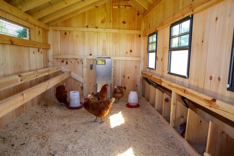 How To Convert A Shed Into A Chicken Coop, Chicken Coops Made From Sheds, Inside Chicken Coop Ideas Design, Shed Turned Into Chicken Coop, Converting A Shed Into A Chicken Coop, How To Turn A Shed Into A Chicken Coop, Old Shed Chicken Coop, Turn A Shed Into A Chicken Coop, Tuff Shed Chicken Coop