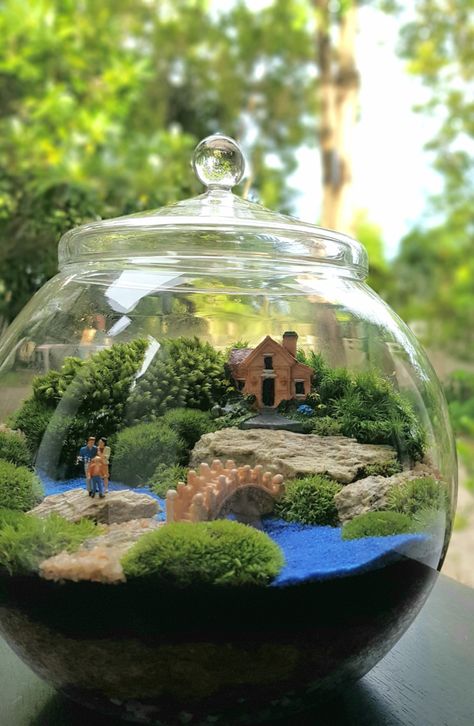 How to Make a Terrarium Fairy Garden Diy Terrarium Fairy Garden, Miniature Fairy Gardens Terrarium, How To Make Garden, Tropical Terrarium Ideas, How To Make A Terrarium, Fairy Terrarium Ideas, Small Terrarium Ideas, Micro Terrarium, Terrarium Ideas Unique