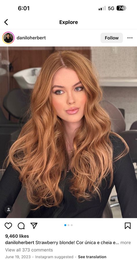 Ginger Blonde Hair, Dark Strawberry Blonde Hair, Light Auburn Hair Color, Copper Brown Hair, Light Auburn Hair, Honey Hair Color, Best Hair Dye, Strawberry Blonde Hair Color, Bronde Hair