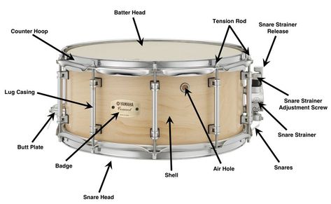 Body image for Anatomy of a Snare Drum article Learn Drums, Drums Art, Drums Sheet, Music Lessons For Kids, Drum Solo, Indian Classical Music, Drum Music, Band Nerd, Drum Lessons