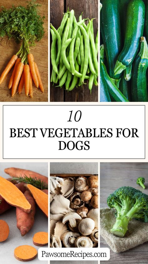 10 Best Vegetables for Dogs - Pawsome Recipes Safe Veggies For Dogs, Dog Friendly Vegetables, Vegetable For Dogs, Veggies Dogs Can Eat, Veggies For Dogs, Dog Safe Vegetables, Potatoes And Mushrooms, Dog Vegetables, Dog Food Recipe