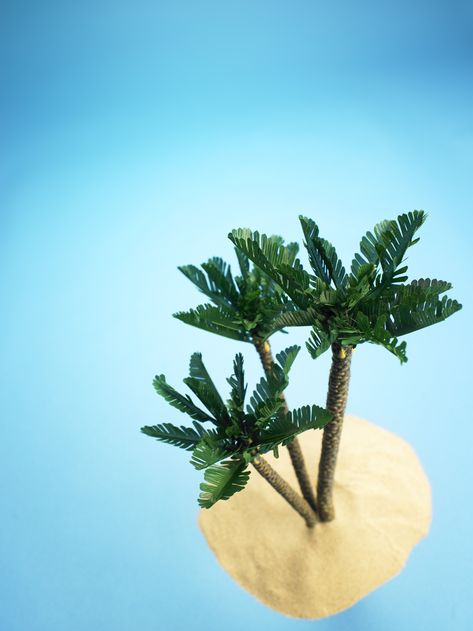 How to Create a Papier-Mache Island Model Paper Palm Tree, Fake Palm Tree, Hawaiian Crafts, Green Craft, Coconut Trees, Paper Plants, Paper Leaves, Paper Tree, Miniature Plants