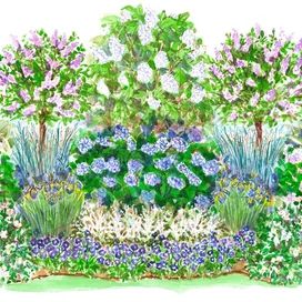 Garden Plan Hydrangea, Part Sun Cottage Garden, Front Shade Garden, Perrenial Shade Garden Plans, Simple Shade Garden, Privacy Garden Plan, Shade Garden Design Layout Backyards, Hydrangea Garden Plan, Shade Border Garden Plan