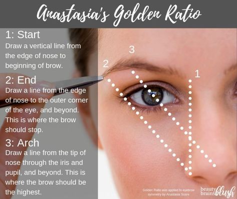 Ultimate Guide to Brows - BeautyBrainsBlush Anastasia Brow Gel, Eyebrow Guide, Instagram Brows, Clear Mascara, Tinted Brow Gel, Arched Eyebrows, Full Brows, Anastasia Brow, Brow Powder