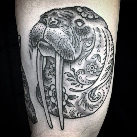 Walrus Tattoo, Tattoo Designs, Tattoos, Design