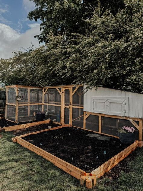 Chicken Coop Ideas & Everything Backyard Chicken | our first coop! 🫶🏼🥹 | Facebook Chicken Coop Ideas, Diy Chicken Coop Plans, Coop Ideas, Chicken Coop Plans, Diy Chicken Coop, Chicken Coops, Chickens Backyard, Chicken Coop, First Home