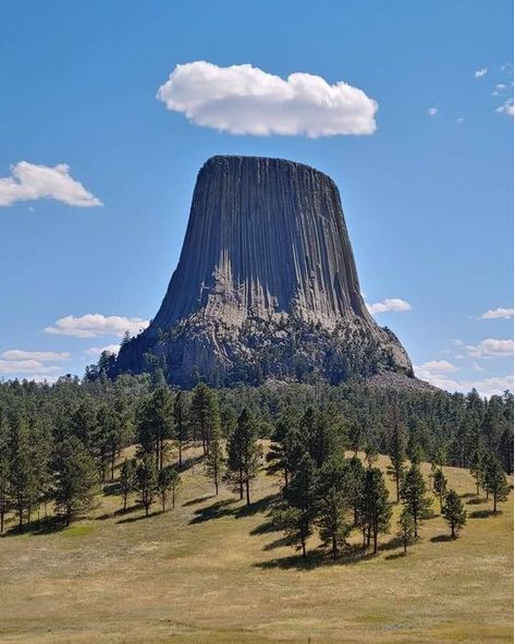 Devils Tower Wyoming, Devils Tower, Top Places To Travel, Heavenly Places, Ancient Origins, National Parks Usa, Daily Pictures, American Travel, Ancient Mysteries