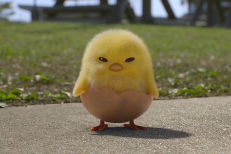 Ducky Momo Wallpaper, Gudetama 3d Icon, Ayam Meme, Piyo Piyo, Gudetama Memes, Gutatama Egg Plush, Simple Cat Drawing, Duck Wallpaper, Cute Funny Pics