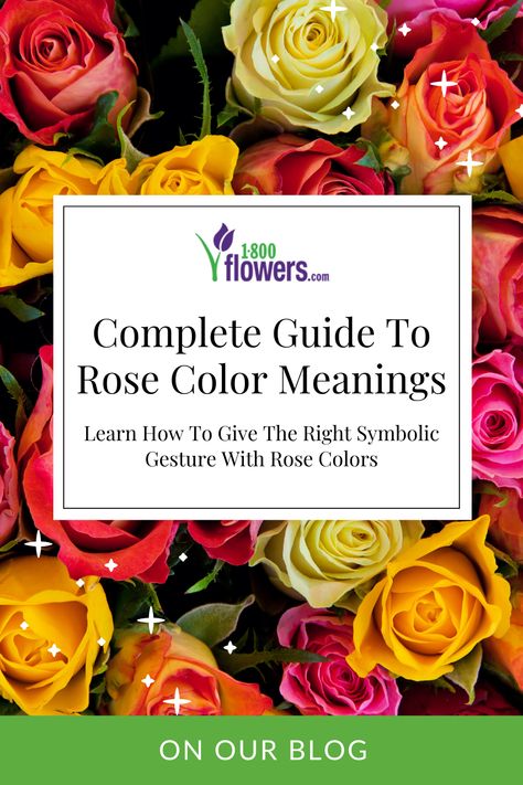 Rose Colors And Meanings, Color Of Roses Meaning, Pink Rose Meaning, Rose Color Symbolism, Color Of Roses, Colors Of Roses, Rose Represents, Different Color Roses, Rose Color Meanings