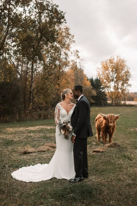 ontario wedding, farm wedding, highland cow Highland Cow Wedding Photos, Cow At Wedding, Highland Cow Engagement Photos, Wedding Photos With Cows, Wedding With Cows, Farm Wedding Picture Ideas, Highland Cow Wedding, Cow Wedding, Creek Ideas