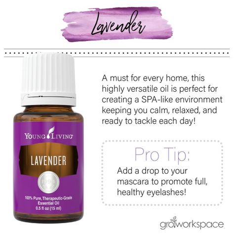 Lavender Essential Oil Young Living, Lavender Essential Oil Uses, Young Living Lavender, Essential Oils Focus, Young Living Oils Recipes, Living Oils Recipes, Lavender Benefits, Essential Oil Combinations, Young Living Essential Oils Recipes