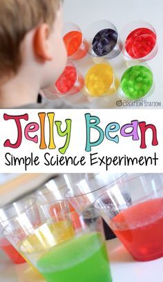 Jelly Bean Simple Science Experiment and FREE printable - MJCS Bean Science Experiment, Jelly Bean Science Experiment, Easter Science Experiments, Easter Science, Spring Science, Science Experience, Pre-k Science, Science Experiment For Kids, Experiment For Kids