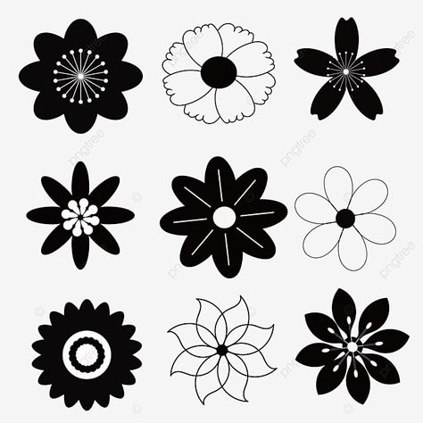 Floral Png, Adobe Illustrator, Floral, Flowers