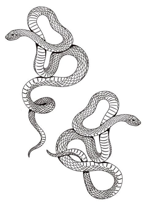 Pg 9 — Littlest Moon Tattoo 4 Inch Tattoo, Snake Outline, Inch Tattoo, French Tattoo, Serpent Tattoo, Snake Tattoo Design, Tattoo Templates, Tatuaje A Color, Diy Tattoo