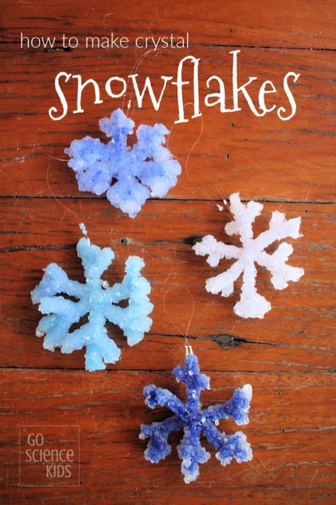 Snowflakes Science, Science Crafts For Kids, Winter Science Experiments, Borax Crystals, Science Experiment For Kids, Winter Science, Experiment For Kids, Christmas Science, Science Crafts