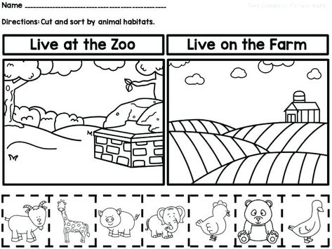 Wild Animals Worksheets For Grade 1 Millenniums Math In Free Animal Habitats Kindergarten, Animal Habitats Preschool, Farm Unit Kindergarten, Kindergarten Animals, Animal Preschool, Sorting Worksheet, Animals Worksheet, 2nd Grade Reading Worksheets, Camping Theme Preschool