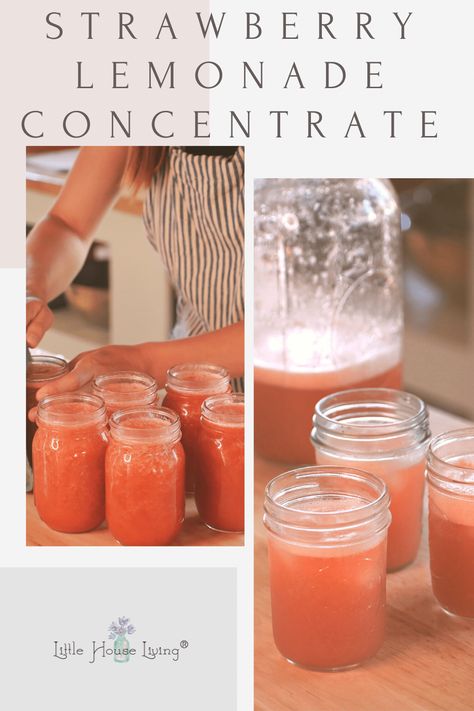 Lemonade Concentrate Canning, Strawberry Lemonade Concentrate Recipe, Strawberry Lemonade Concentrate, Lemonade Concentrate Recipe, Frozen Strawberry Lemonade, Homemade Strawberry Lemonade, Canned Strawberries, Canned Fruits, Lemonade Concentrate