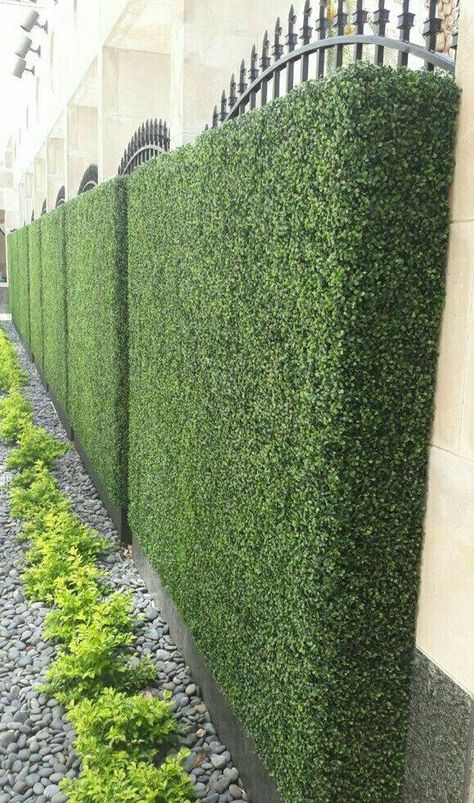 Hedges Landscaping, Maze Garden, Garden Hedges, Artificial Hedges, Boxwood Hedge, Privacy Fence Designs, Artificial Boxwood, Iron Fence, Outdoor Gardens Design