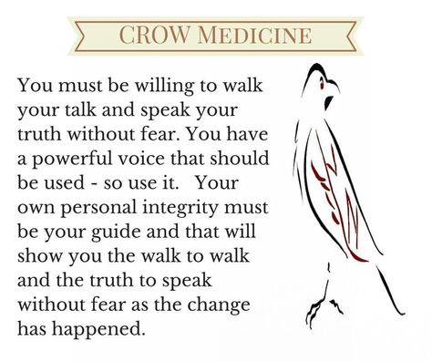 Crow Medicine Crows Meaning, Crow Meaning, Crow Spirit Animal, Crow Medicine, Crow Flying, Shadow Work Spiritual, Spirit Animal Meaning, Animal Meanings, Personal Integrity