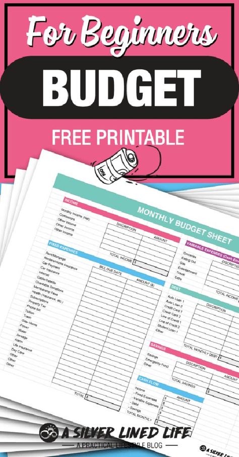 Budgeting For Beginners Printables Free, Budget Planner Printable Free, Monthly Budget Sheet, Free Budget Printables, Budget Sheet, Printable Budget, Budget Sheets, Free Budget, Mindset Coach