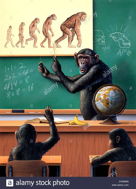 A humorous view of the reverse evolution of man. Stock Photo Ilustrasi Satir, Evolution Art, Satirical Illustrations, Removable Wall Art, Removable Wall Decals, Deep Meaning, Primates, Albert Einstein, Giclee Art