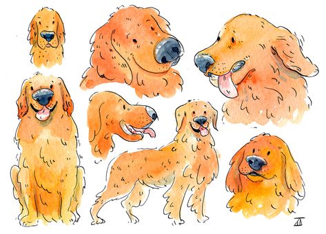 Golden Retriever on Behance Golden Doodle Illustration, Golden Retriever Drawing Cartoon, Work Tumblers, Cartoon Golden Retriever, Golden Retriever Doodle, Red Golden Retriever Puppy, Golden Retriever Puppy Training, Retriever Illustration, Golden Retriever Cartoon