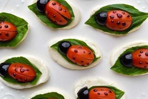 Ladybug Appetizers, Caprese Appetizer, Decorações Com Comidas, Amazing Food Decoration, Amazing Food Art, Charcuterie Inspiration, Charcuterie Recipes, Easy Food Art, My Signature