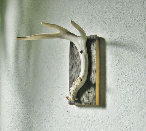 Rustic Hat Rack, Rustic Hunting Cabin, Antler Hat, Antler Ideas, Deer Antler Decor, Outdoorsman Gifts, Antlers Decor, Antler Decor, Tree Branch Wall