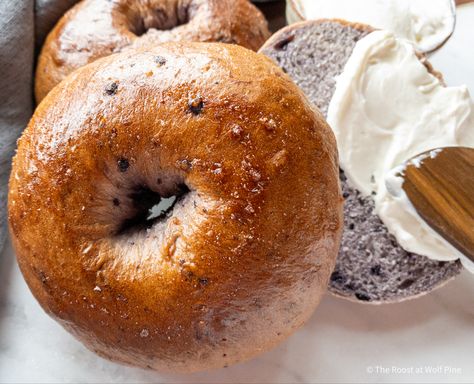 Blueberry Greek Yogurt Bagels, Pine Recipes, Using Frozen Blueberries, Blueberry Bagels, Bagel Bakery, Blueberry Bagel, Lemon Blueberry Bread, White Grape, Blueberry Sauce