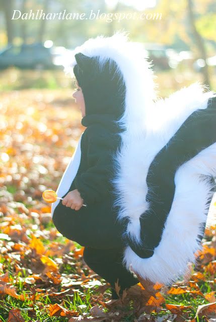 Skunk costume by Dahlhart Lane Skunk Toddler Costume, Skunk Diy Costume, Skunk Costume Baby, Diy Skunk Costume, Toddler Skunk Costume, Baby Skunk Costume, Skunk Costume, Halloween Nature, Costume Box