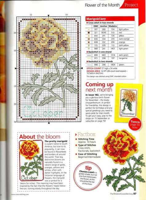 Gallery.ru / Фото #49 - The world of cross stitching 181 - WhiteAngel Marigold Cross Stitch Pattern, Marigold Cross Stitch, The World Of Cross Stitching, Cross Stitch Geometric, Cross Stitch Magazines, Crochet Knit Stitches, Nature Cross Stitch, Cross Stitch Tree, Cross Stitch Books