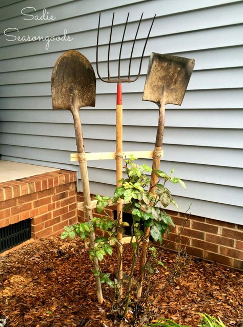 DIY Trellis | Excuse me. I have to run to the thrift store right this second. Old Garden Tools, Land Scapes, Diy Garden Trellis, Upcycle Garden, Diy Trellis, Farm Tools, Diy Outdoor Decor, Garden Harvest, Diy Gardening