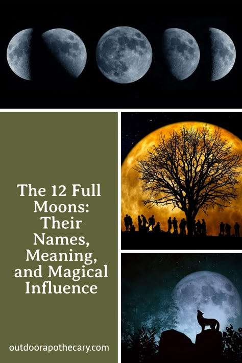 The moon is often an object of fascination. Its phases and names say a lot about how we relate to, and derive meaning from, the moon’s seemingly ever-shifting aspects. Here are the names and meanings of the 12 full moons, plus tips on how they can influence your life. 10 Darkest Weeks Of The Year, Moon Phase Rituals, Full Moons Of 2025, Super Moon Meaning, Full Moon Witchcraft, Moon Phase Meanings, Moon Phases Names, Luna Witch, Astrology Relationships