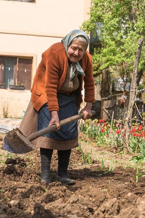 Person Gardening Reference, Old Woman Aesthetic, Senior Gardening, Person Gardening, Female Gardener, People Gardening, Woman Gardening, Old Farmer, Gesture Drawing Poses