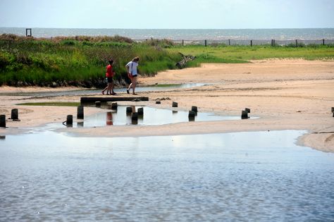 Over the weekend, more than 700 people picked up almost 15 tons of trash from Southeast Texas beaches during the Texas General Land Office's fall Adopt-A-Beach Cleanup. Port Lavaca Texas, Beach Cleanup, Texas Beaches, Texas Parks, Charter Boat, Fishing Guide, Fishing Charters, Weird Things, Pier Fishing