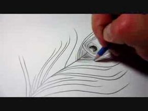 How To Draw A Peacock Feather - YouTube Feather Drawing, Design Humor, Peacock Art, Celebrities Quotes, Architecture Tattoo, Art Instructions, Drawing Videos, Peacock Feather, Peacocks