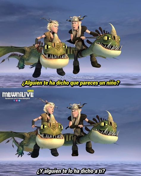 How Train Your Dragon, Httyd, How To Train Your Dragon, Disney And Dreamworks, How To Train Your, Dreamworks, Geek Stuff, Humor, Japan