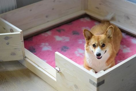 4 DIY Whelping Boxes You Can Build Today (With Pictures) | Hepper Whelping Box Ideas For Small Dogs, Whelping Box Ideas, Welping Box, Dog Whelping, Dog Whelping Box, Plastic Company, Whelping Box, Plywood Floor, Silicone Caulk