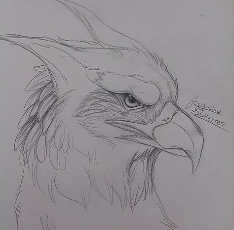 :) Hypogriff Drawing, Griffin Drawing Easy, Hippogriff Drawing, Griffin Sketch, Drawing Mythical Creatures, Griffon Art, Griffin Drawing, Fantasy Sketches, Mythical Creatures Drawings