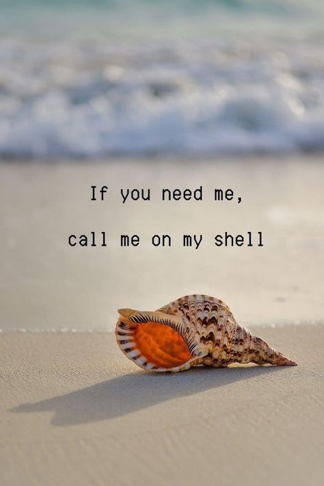 Take Me To The Beach Quotes, On Holiday Quotes, Caption For Beach, Seashell Quotes, Beach Post Captions, Sea Quotes Beach, Seashells Quote, Shell Quotes, Quotes About The Beach