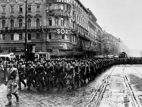 Budapest: 60 Years After The Uprising - Radio Free Europe / Radio Liberty Nicosia Cyprus, Soviet Army, Baltic States, October 4, Budapest Hungary, Circle Of Life, The Other Side, Hungary, Budapest