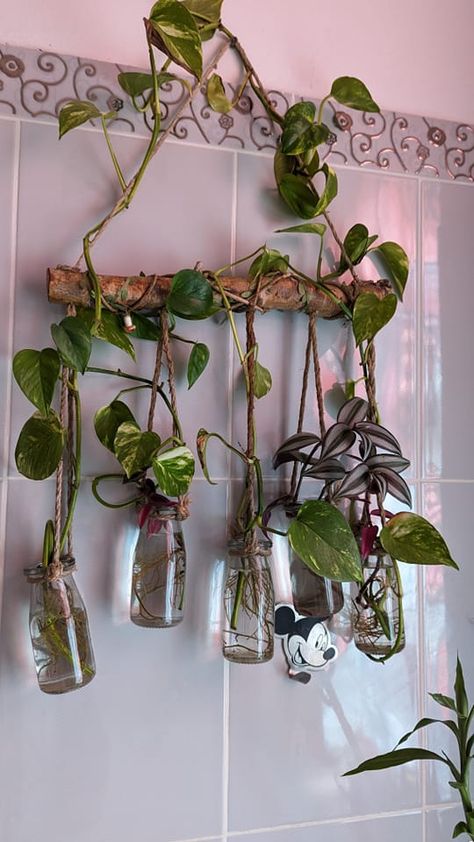 Pothos In Water, Mos Wand, Water Plants Indoor, Tanaman Air, Indoor Plant Wall, Tanaman Indoor, نباتات منزلية, Hanging Plant Wall, Plants Wall