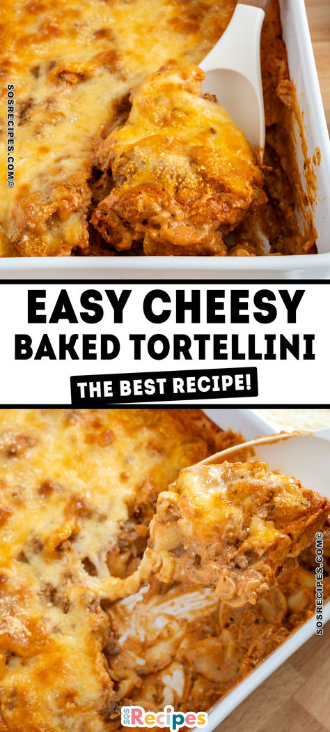 This Cheesy Baked Tortellini Casserole with Meat Sauce is the ultimate comfort food! Packed with rich flavors, tender tortellini, and a hearty meat sauce, this easy dinner recipe is perfect for family meals or cozy nights in. With layers of melted cheese and a golden baked finish, this dish is sure to be a hit. Try this simple, delicious casserole recipe today! Easy Baked Tortellini Casserole, Tortellini Baked Casserole, Tortellini Bake Recipes, Cheese Tortellini Bake, Easy Cheesy Baked Tortellini, Tortellini With Meat Sauce, Baked Tortellini Recipes, Cheesy Baked Tortellini, Baked Tortellini Casserole